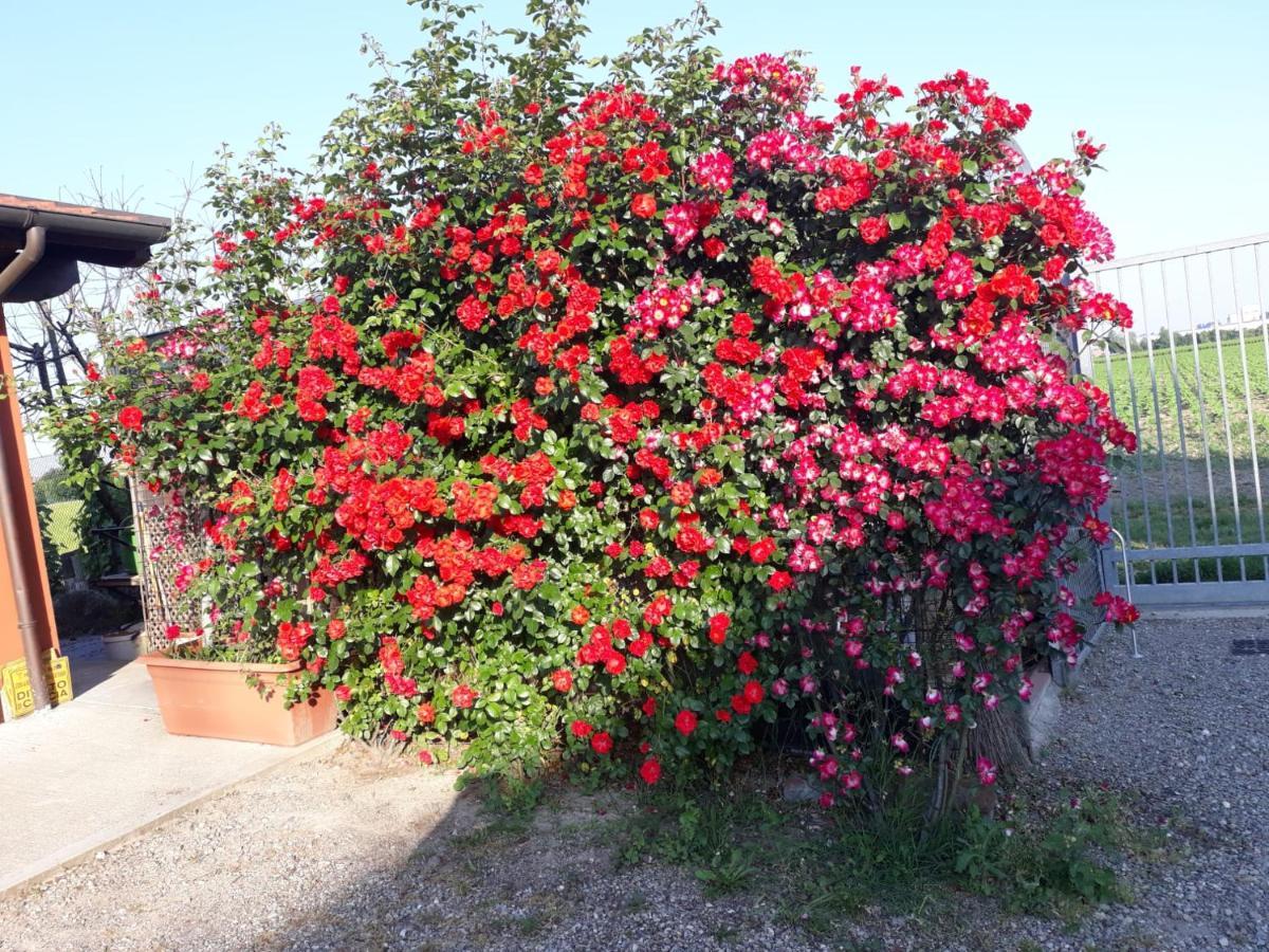 Al Sit Ed Marino Bed and Breakfast Castel Maggiore Buitenkant foto